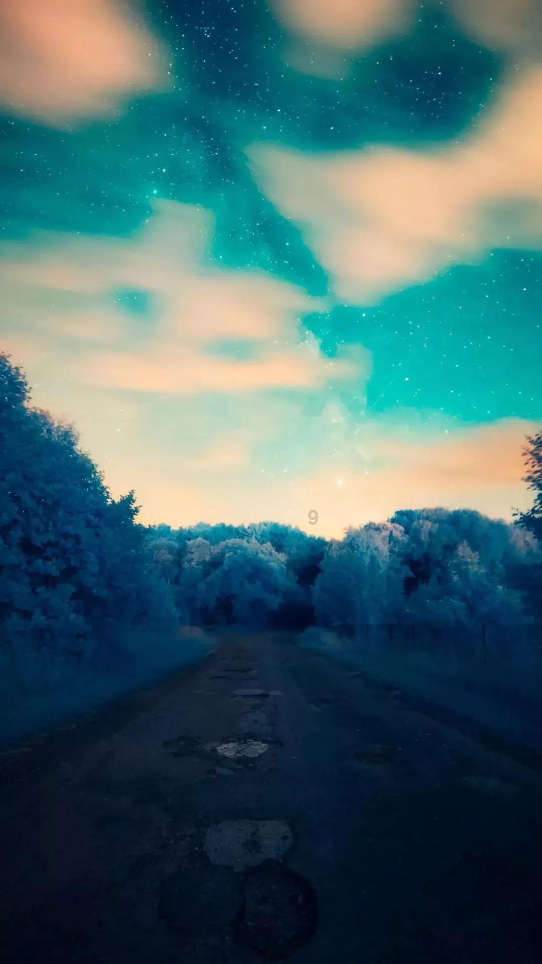 救援七星瓢虫