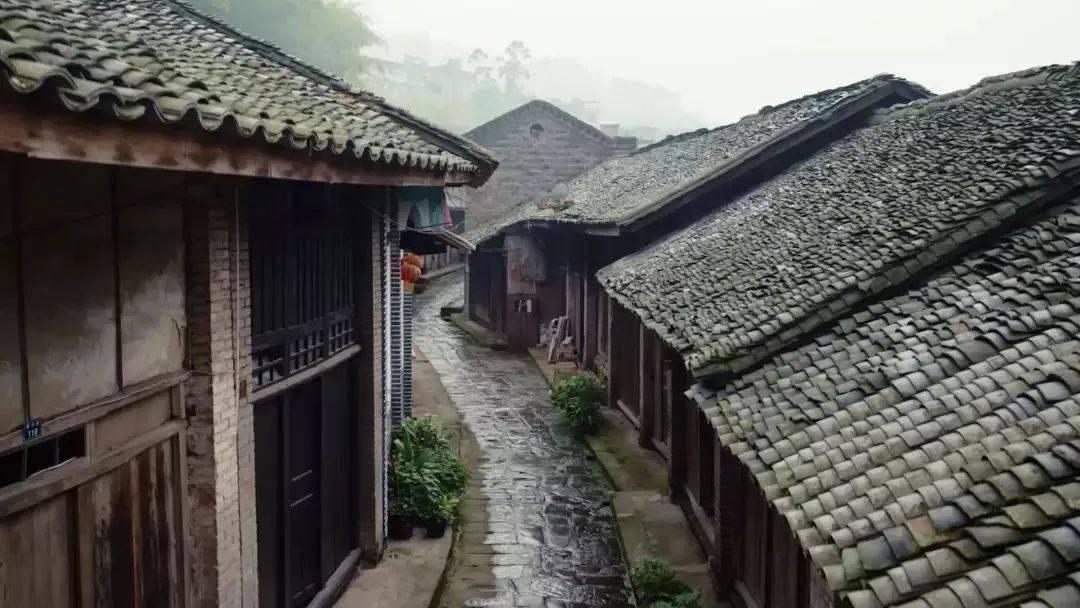 寻找丢失的金币